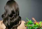 Ayurveda and Hair Care: From Diagnosis to Management!