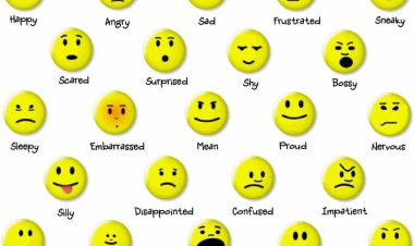The 6 Types of Basic Emotions and Their Effect on Human Behavior