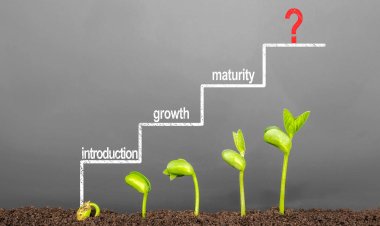 Different Stages of Career Development