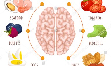 10 Best Foods to Boost Your Brain and Memory