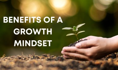 10 Benefits of Developing a Growth Mindset in Life
