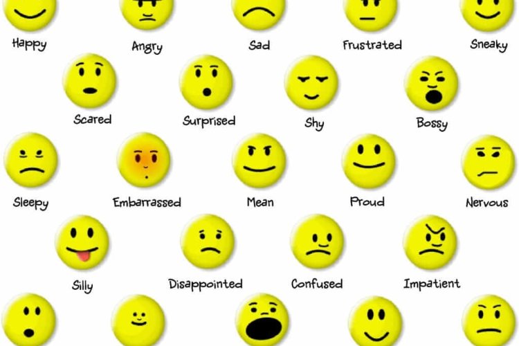 The 6 Types Of Basic Emotions And Their Effect On Human Behavior - Mindlor