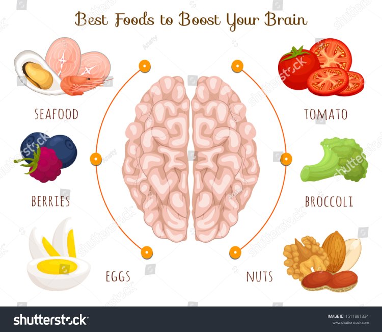 10 Best Foods to Boost Your Brain and Memory