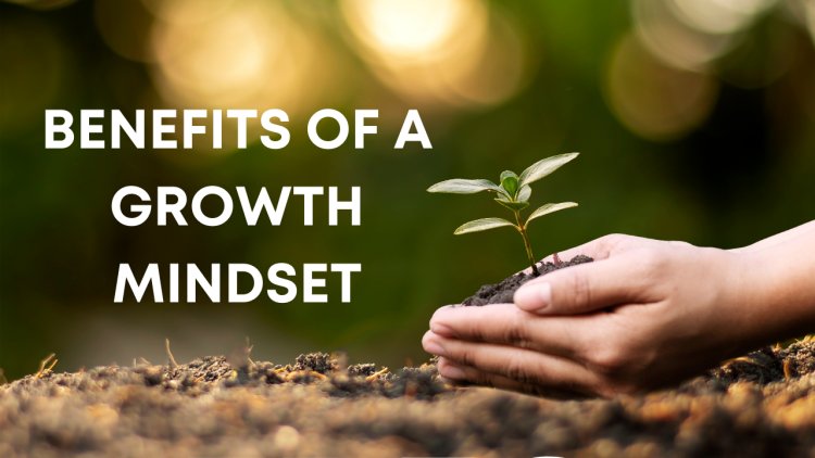 10 Benefits of Developing a Growth Mindset in Life