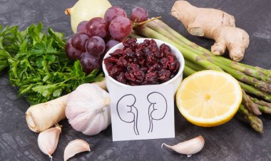 Best Foods for People with Kidney Disease