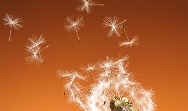 Best 7 Career Development Books of All Time