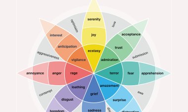 The 6 Types of Basic Emotions and Their Effect on Human Behavior