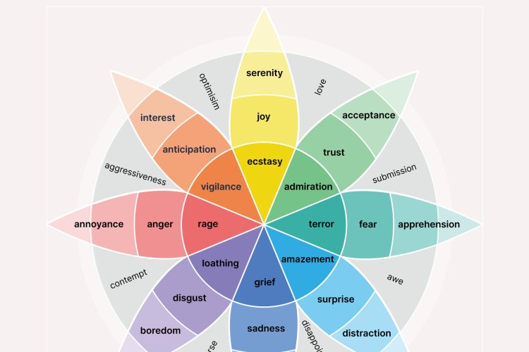 The 6 Types Of Basic Emotions And Their Effect On Human Behavior - Mindlor