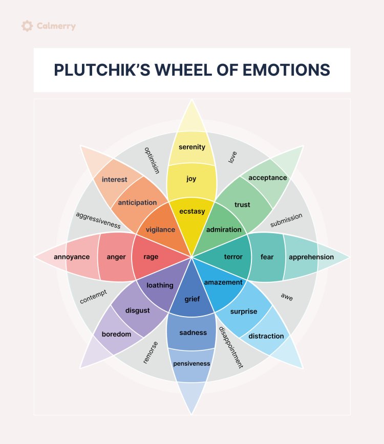 The 6 Types of Basic Emotions and Their Effect on Human Behavior