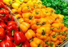 The Health Benefits of Red Bell Peppers