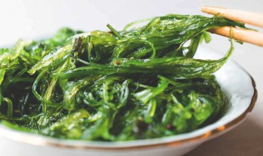 Best 5 Health Benefits of Iodine